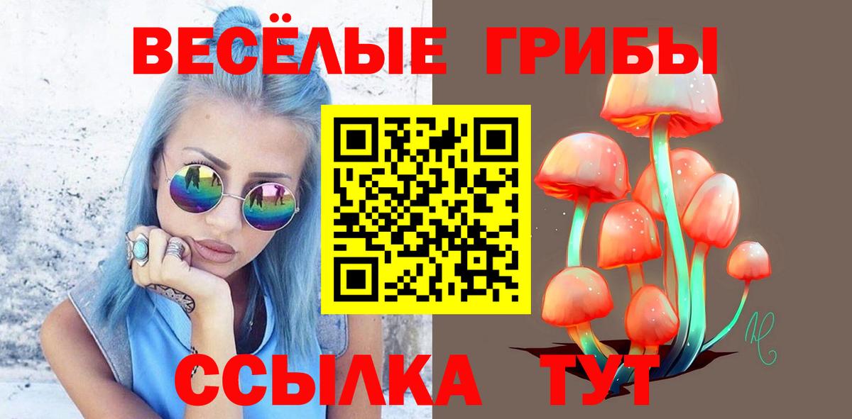 Галлюциногенные грибы Cubensis Саянск