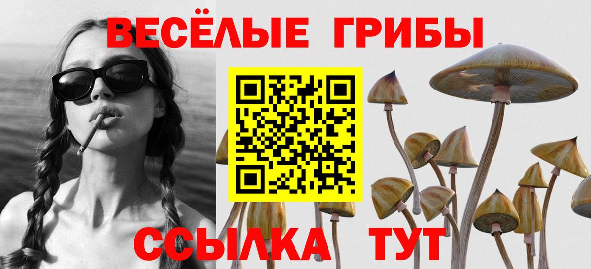 Саянск  Псилоцибиновые грибы мицелий  Вход с VPN 